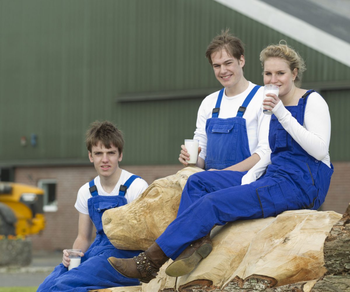 Portrait of young trainees drinking milk while sitting on wooded cow structure at farm. Horizontal shot.